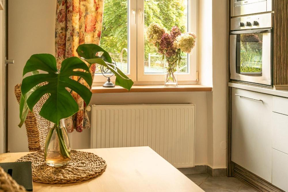 Apartman Lukas S Krbem V Centru Karvina Exterior photo